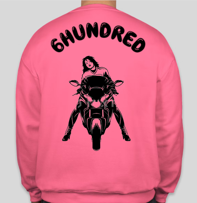 600 PINK SWEATER