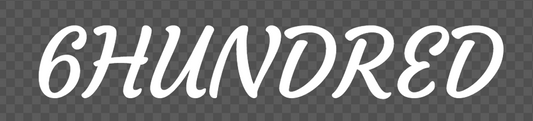 6HUNDRED VINYL STICKER