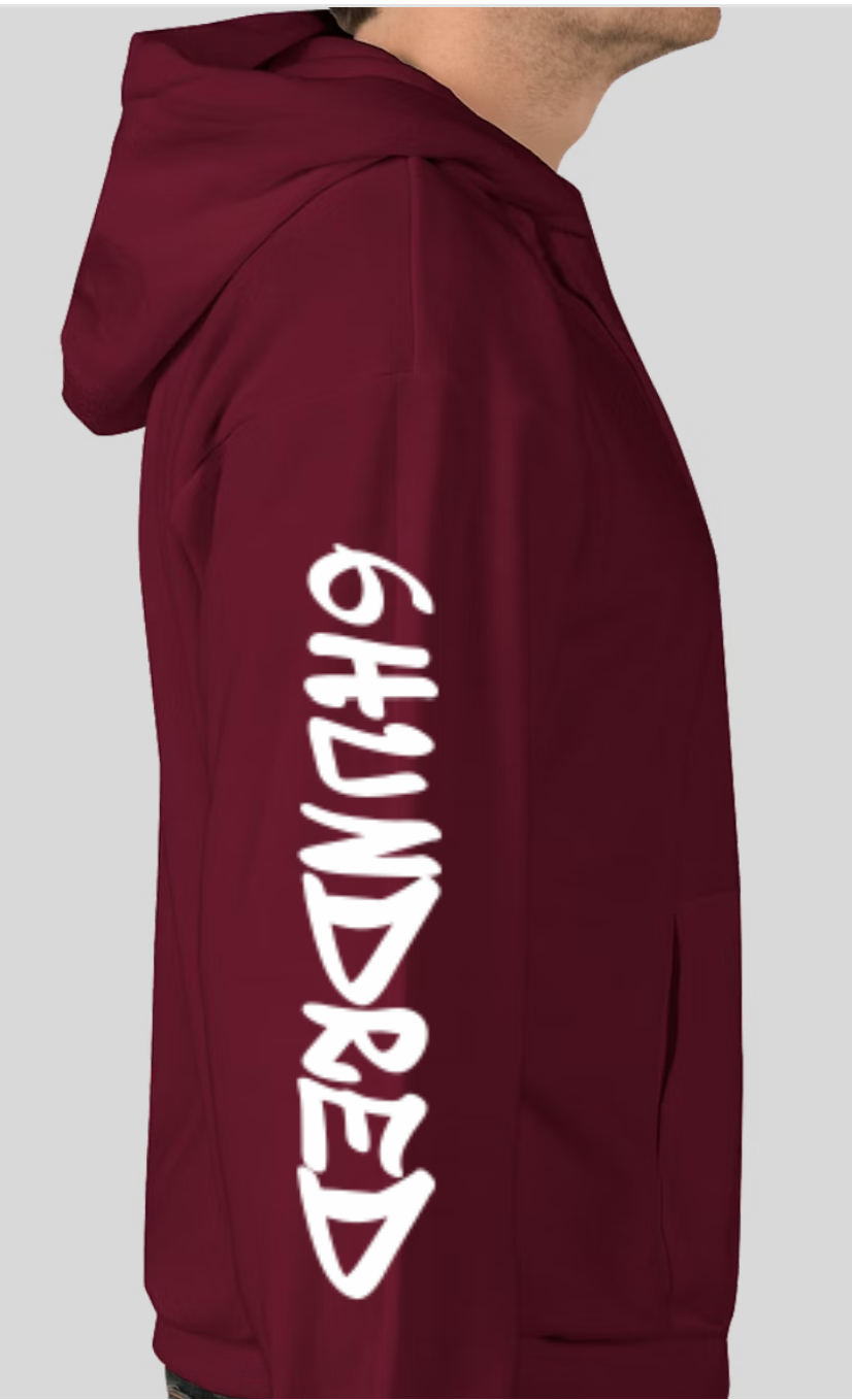 CHRISTMAS CAME EARLY HOODIE